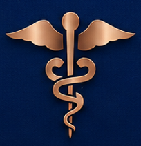 Nexus Nursing Solutions logo mark
